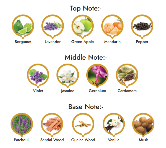 Royal Bleu | Luxury Collection - Orientica Meraki Aveiro