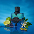 Magnetiq Aromatix X | French Avenue Vanillia - Perfumaria & Cosmética